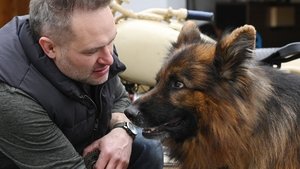 Poster for Episode 10 Poster for Episode 10