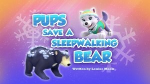 Poster for Pups Save a Sleepwalking Bear