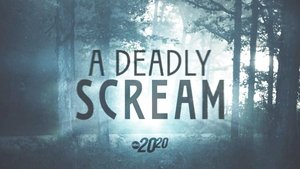 Poster for A Deadly Scream