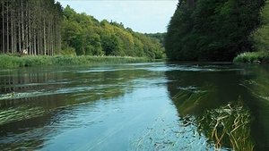 Poster for Episode 8 Poster for Episode 8