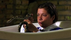 Poster for Episode 11