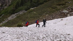 Poster for Fan vs. Wild