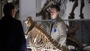 Poster for Shiizakana