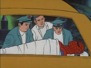 Poster for To Cage a Spider