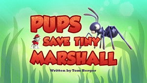 Poster for Pups Save Tiny Marshall