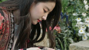 Poster for A Colorful Mix of Tenants