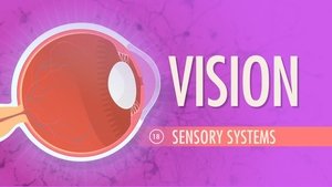 Poster for Vision