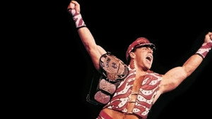 Poster for SummerSlam 1996