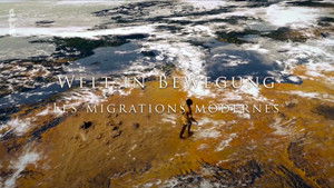 Poster for Episode 3