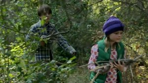 Poster for Into the Woods