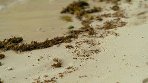 Poster for Episode 47