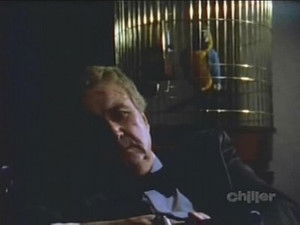 Poster for Survival of the Fittest