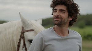 Poster for Episode 208