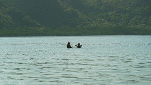 Poster for Episode 24