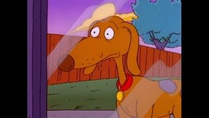 Poster for A Dog's Life