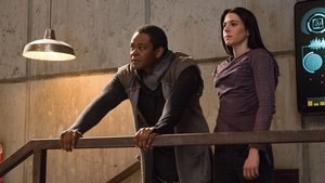 Poster for Death Did Us Part Poster for Death Did Us Part