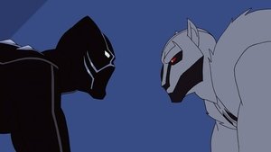 Poster for The Panther and the Wolf