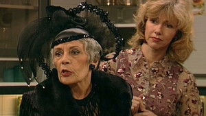 Poster for Huisdieren