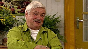 Poster for Lieve Harry