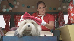 Poster for Episode 30