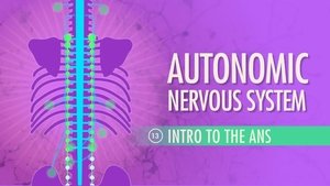 Poster for Autonomic Nervous System