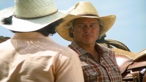 Poster for The Road Back