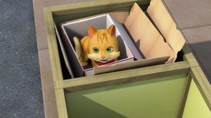 Poster for Cat in the Box