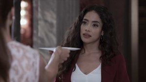 Poster for Episode 22