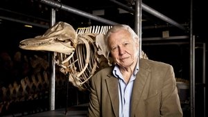 Poster for Attenborough's Life Stories: Our Fragile Planet