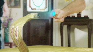 Poster for Shivanya is Stabbed