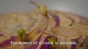 Poster for The Moment of Divorce Is Recorded