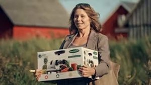 Poster for Manden i poolen