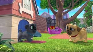 Poster for Pot O' Pugs