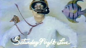 Poster for Steve Martin/Paul and Linda McCartney