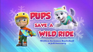 Poster for Pups Save a Wild Ride