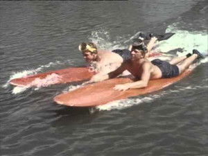 Poster for Dolphins Don't Sleep Poster for Dolphins Don't Sleep