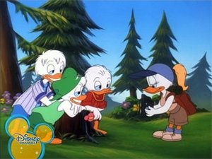 Poster for Ducks by Nature