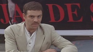 Poster for Antiallergic Poster for Antiallergic