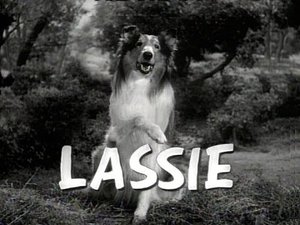 Poster for Lassie and the Birdwatch