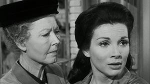 Poster for The Case of the Barefaced Witness