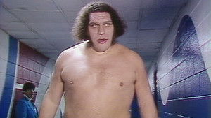 Poster for Madison Square Garden - 2/20/1984 Poster for Madison Square Garden - 2/20/1984