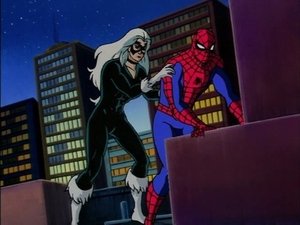 Poster for Partners in Danger: The Return of Kraven
