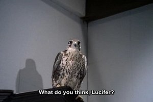 Poster for The Falcon (1)