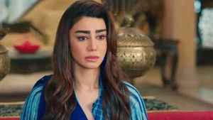 Poster for Mehek Seizes Rishab's Wealth!