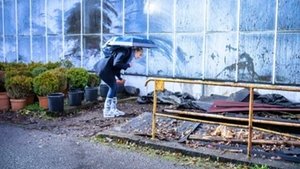 Poster for The Flowers of Evil