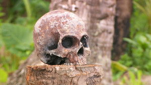 Poster for Episode 19