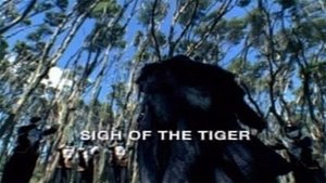 Poster for Sigh of the Tiger