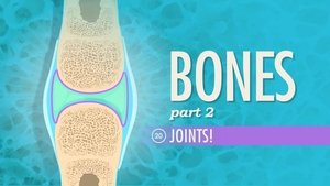 Poster for Joints