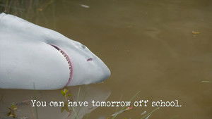 Poster for You Can Have Tomorrow off School