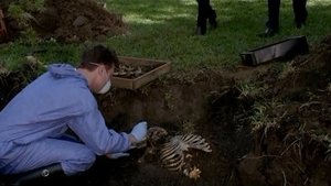 Poster for Strange Fruit